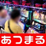 Turikale spinpalace online casino 